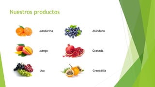 Nuestros productos
Mandarina Arándano
Mango Granada
Uva Granadilla
 