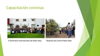 Capacitación continua
II Seminario Internacional de Palta Hass Pasantía de Cultivo Palta Hass
 