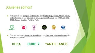 ¿Quiénes somos?
 Contamos con un campo de palta Hass y un vivero de plantas clonales de
alta productividad.
 Trabajamos con campos certificados con Global Gap, Tesco, Albert heijn,
Sedex Smetta y, con plantas de empaque certificadas con HACCAP, BRC,
BASC, Sedex Smetta, Field to Fork.
*ANTILLANOSDUKE 7DUSA
 
