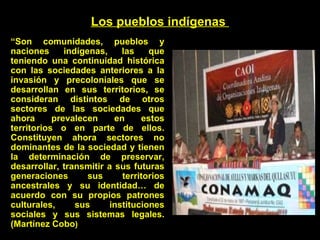 Los pueblos indígenas  “ Son comunidades, pueblos y naciones indígenas, las que teniendo una continuidad histórica con las sociedades anteriores a la invasión y precoloniales que se desarrollan en sus territorios, se consideran distintos de otros sectores de las sociedades que ahora prevalecen en estos territorios o en parte de ellos. Constituyen ahora sectores no dominantes de la sociedad y tienen la determinación de preservar, desarrollar, transmitir a sus futuras generaciones sus territorios ancestrales y su identidad… de acuerdo con su propios patrones culturales, sus instituciones sociales y sus sistemas legales. (Martínez Cobo ) 