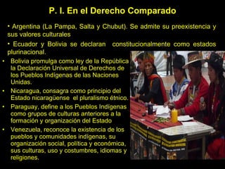 Bolivia promulga como ley de la República la Declaración Universal de Derechos de los Pueblos Indígenas de las Naciones Unidas. Nicaragua, consagra como principio del Estado nicaragüense  el pluralismo étnico.  Paraguay, define a los Pueblos Indígenas como grupos de culturas anteriores a la formación y organización del Estado Venezuela, reconoce la existencia de los pueblos y comunidades indígenas, su organización social, política y económica, sus culturas, uso y costumbres, idiomas y religiones. P. I. En el Derecho Comparado Argentina (La Pampa, Salta y Chubut). Se admite su preexistencia y sus valores culturales Ecuador y Bolivia se declaran  constitucionalmente como estados plurinacional.  