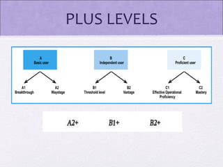 PLUS LEVELS
 