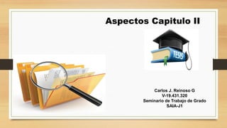 Aspectos Capitulo II
Carlos J. Reinoso G
V-19.431.320
Seminario de Trabajo de Grado
SAIA-J1
 