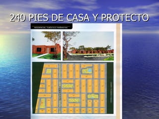 240 PIES DE CASA Y PROTECTO
 