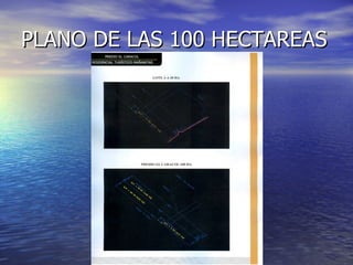 PLANO DE LAS 100 HECTAREAS
 