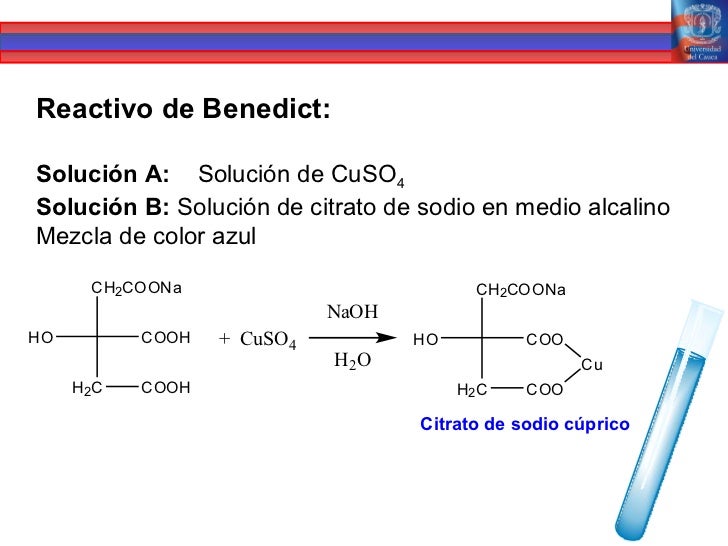 Presentacion carbohidratos