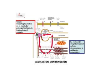 Comprehensive Overview of Cardiovascular Physiology and Cardiac Cycle ...