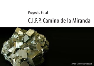 C.I.F.P. Camino de la Miranda
Proyecto Final
Mª del Carmen García Sáez
 