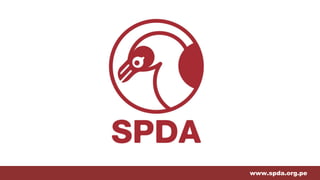 www.spda.org.pe
 