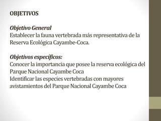 OBJETIVOS
ObjetivoGeneral
Establecerlafaunavertebradamásrepresentativadela
ReservaEcológicaCayambe-Coca.
Objetivosespecíficos:
Conocerlaimportanciaqueposeelareservaecológicadel
ParqueNacionalCayambeCoca
Identificarlasespeciesvertebradasconmayores
avistamientosdelParqueNacionalCayambeCoca
 