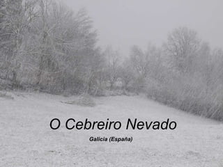 O Cebreiro Nevado Galicia (España) 