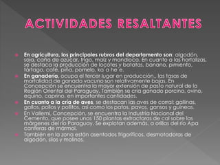  En agricultura, los principales rubros del departamento son: algodón,
soja, caña de azúcar, trigo, maíz y mandioca. En cuanto a las hortalizas,
se destaca la producción de locotes y batatas, banano, pimiento,
tártago, café, piña, pomelo, ka´a he´e.
 En ganadería, ocupa el tercer lugar en producción,, las tasas de
mortalidad de ganado vacuno son relativamente bajas. En
Concepción se encuentra la mayor extensión de pasto natural de la
Región Oriental del Paraguay. También se cría ganado porcino, ovino,
equino, caprino, en importantes cantidades.
 En cuanto a la cría de aves, se destacan las aves de corral: gallinas,
gallos, pollos y pollitos, así como los patos, pavos, gansos y guineas.
 En Vallemí, Concepción, se encuentra la Industria Nacional del
Cemento, que posee unas 150 plantas extractoras de cal sobre las
márgenes del río Paraguay. Se explotan además, a orillas del río Apa
canteras de mármol.
 También en la zona están asentados frigoríficos, desmotadoras de
algodón, silos y molinos.
 