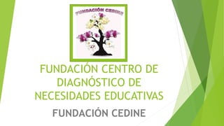 FUNDACIÓN CENTRO DE 
DIAGNÓSTICO DE 
NECESIDADES EDUCATIVAS 
FUNDACIÓN CEDINE 
 