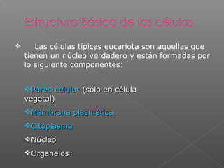  Las células típicas eucariota son aquellas que
tienen un núcleo verdadero y están formadas por
lo siguiente componentes:
Pared celularPared celular (sólo en célula(sólo en célula
vegetal)vegetal)
Membrana plasmáticaMembrana plasmática
CitoplasmaCitoplasma
NúcleoNúcleo
OrganelosOrganelos
 