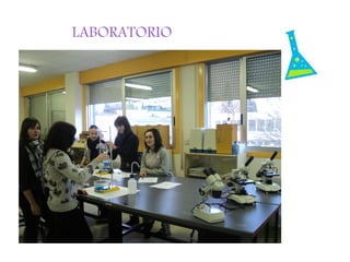 LABORATORIO
 