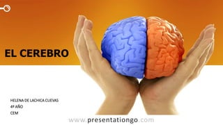 www.presentationgo.com
EL CEREBRO
HELENA DE LACHICA CUEVAS
4º AÑO
CEM
 