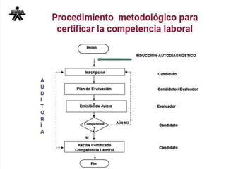 DIRECCIÓN GENERAL Inicio SI AÚN NO Candidato / Evaluador Evaluador  Candidato Candidato AUDI TORÍA Proceso para certificar la competencia laboral Candidato INDUCCIÓN-AUTODIAGNÓSTICO Plan de Evaluación Competente ? Recibe Certificado Competencia Laboral Fin Emisión de Juicio Inscripción 