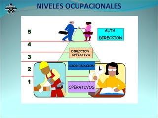 NIVELES OCUPACIONALES COORDINACION DIRECCION  OPERATIVA ALTA  DIRECCION OPERATIVOS 