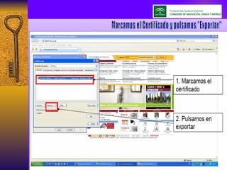 Marcamos el Certificado y pulsamos "Exportar" 