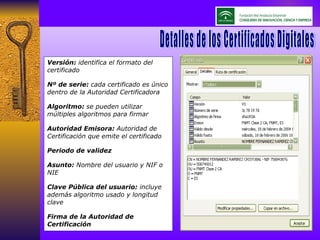 Versión:  identifica el formato del certificado Nº de serie:  cada certificado es único dentro de la Autoridad Certificadora Algoritmo:  se pueden utilizar múltiples algoritmos para firmar Autoridad Emisora:  Autoridad de Certificación que emite el certificado Periodo de validez  Asunto:  Nombre del usuario y NIF o NIE Clave Pública del usuario:  incluye además algoritmo usado y longitud clave Firma de la Autoridad de Certificación Detalles de los Certificados Digitales 