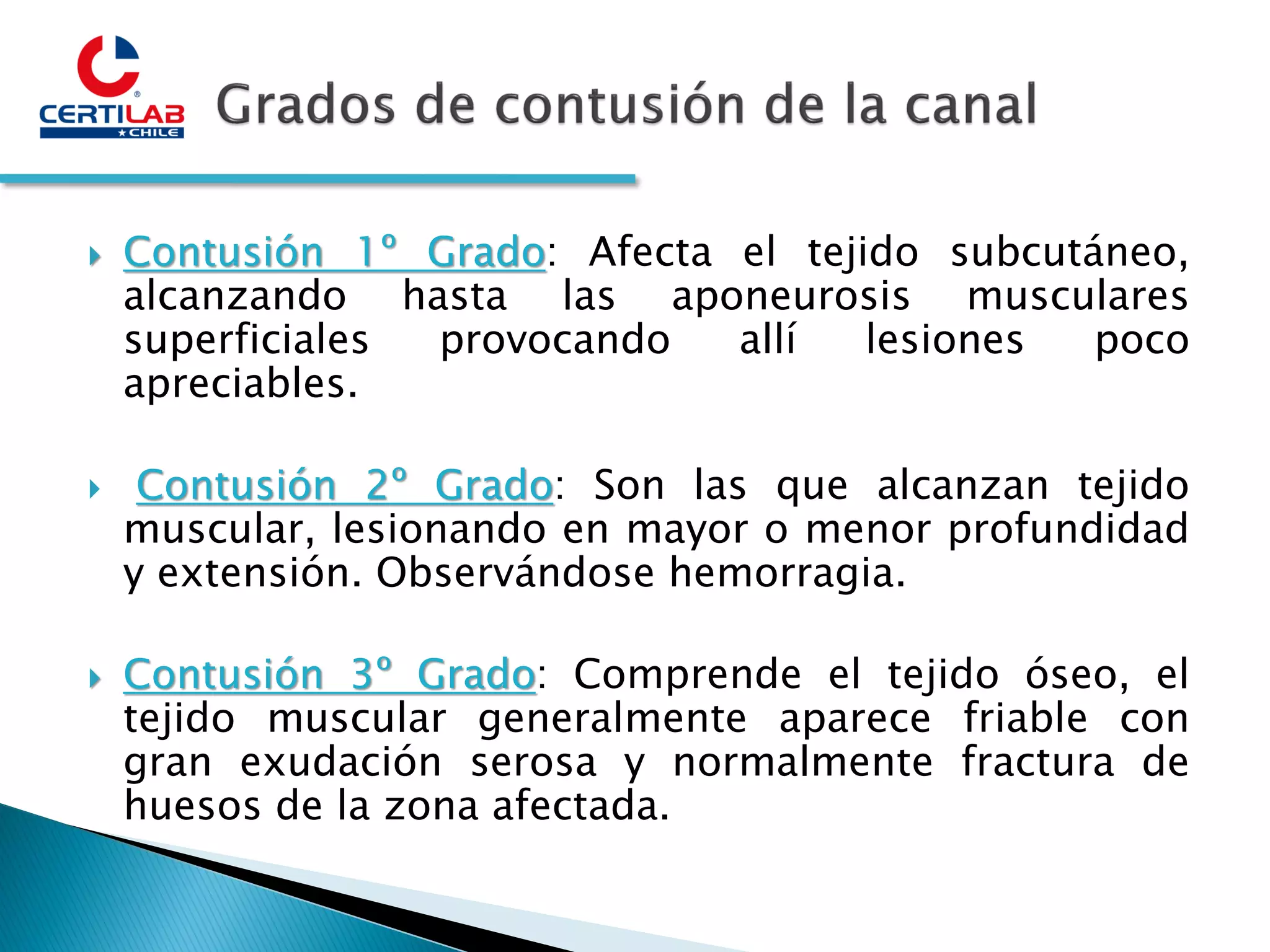 Slide 11