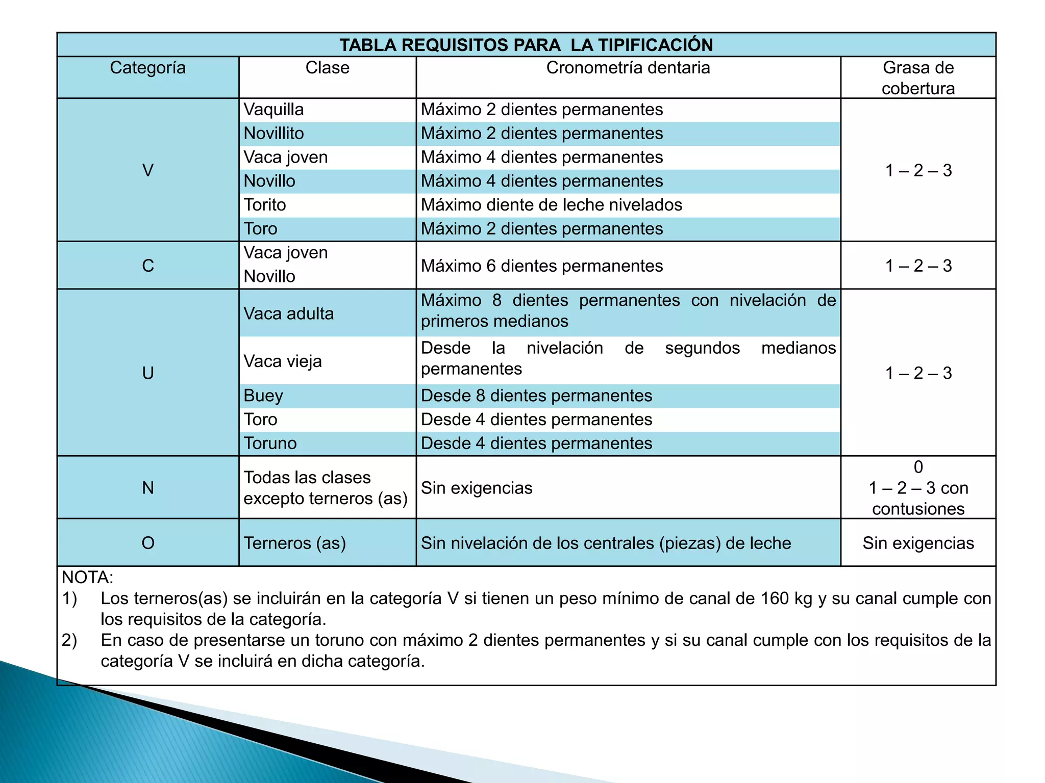 Slide 12