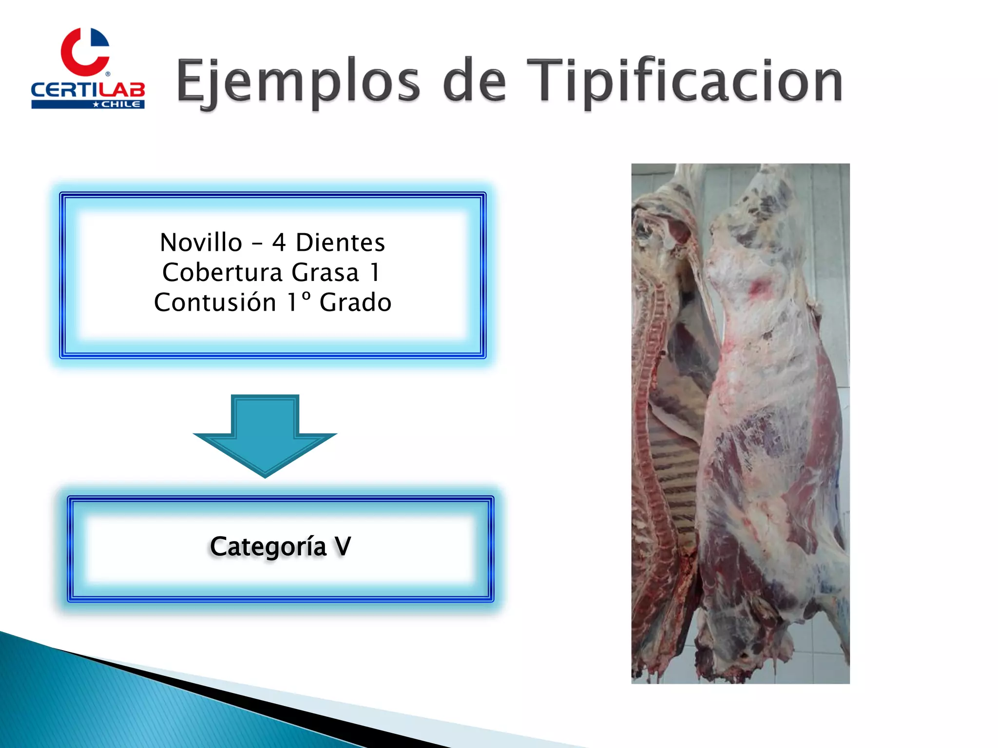 Slide 13