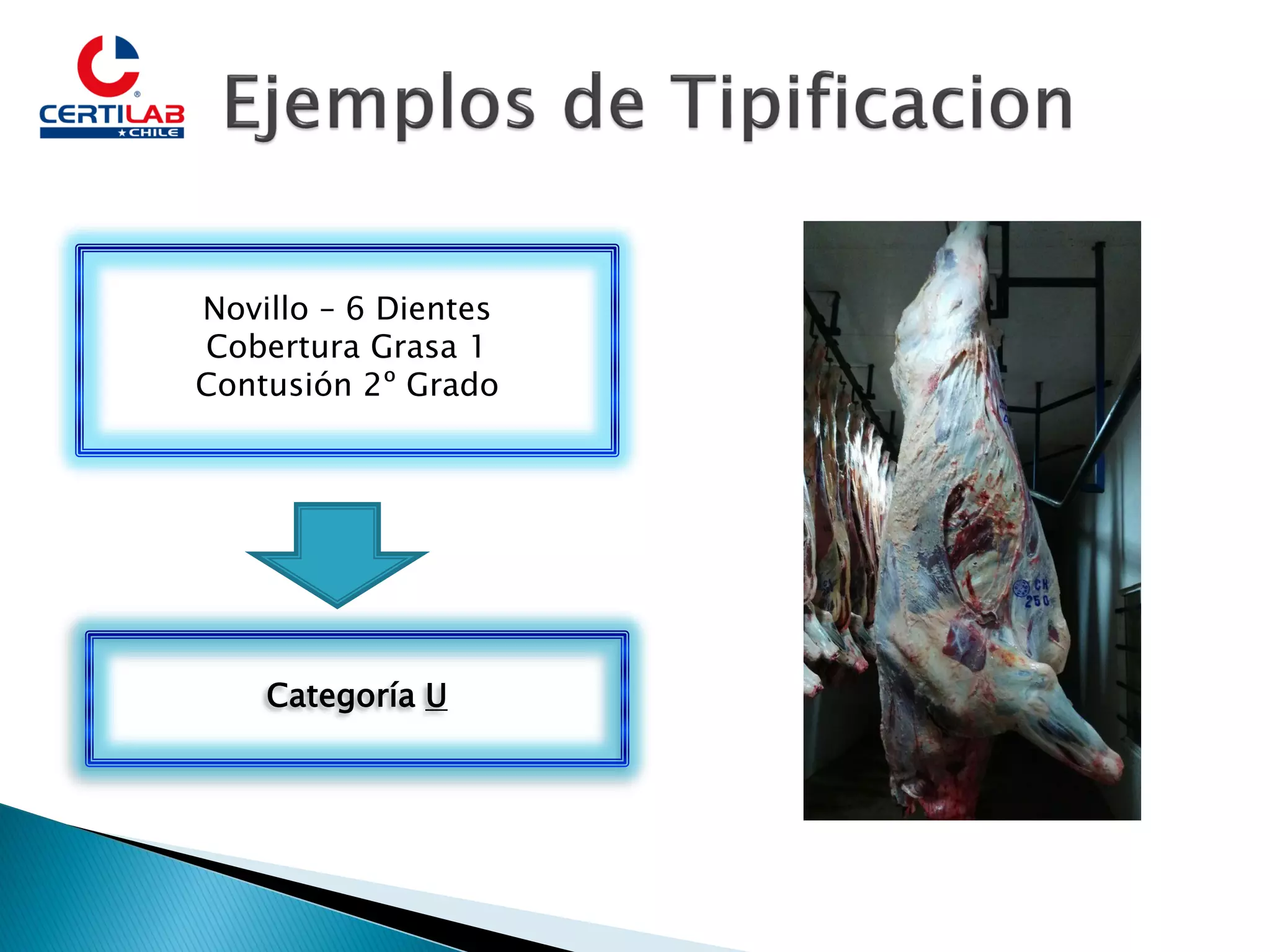 Slide 14