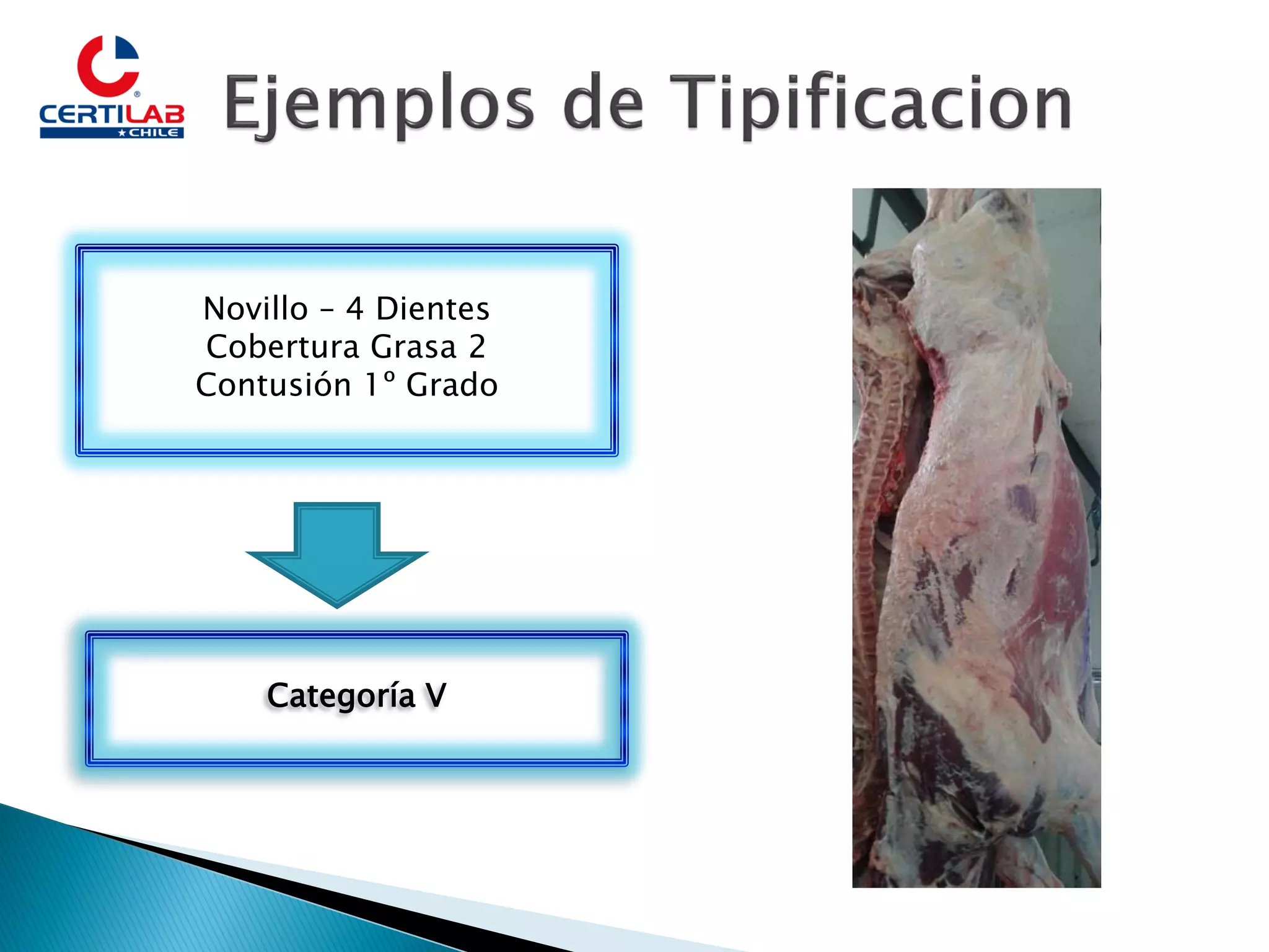 Slide 15