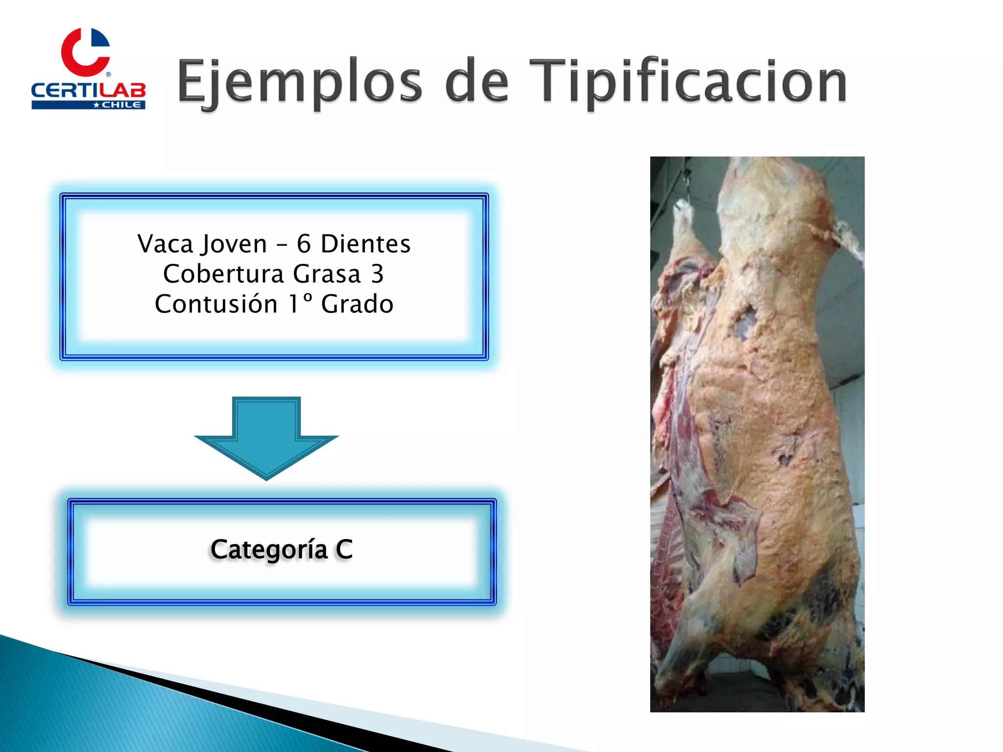 Slide 16