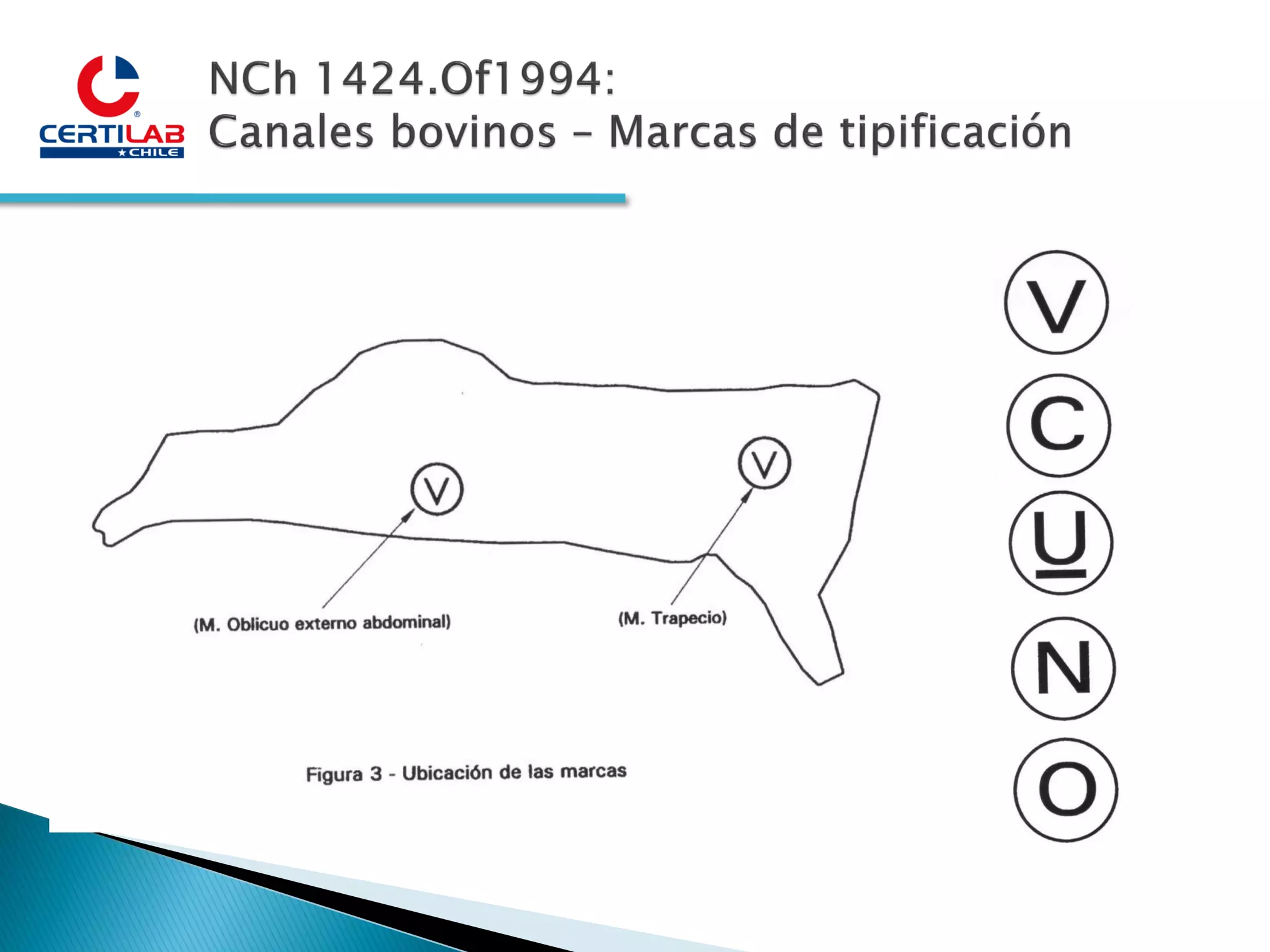 Slide 19