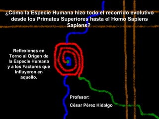 ¿Cómo la Especie Humana hizo todo el recorrido evolutivo desde los Primates Superiores hasta el Homo Sapiens Sapiens?  Reflexiones en Torno al Origen de la Especie Humana y a los Factores que Influyeron en aquello. Profesor: César Pérez Hidalgo 