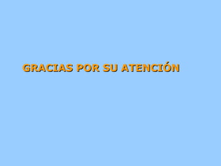 GRACIAS POR SU ATENCIÓN 