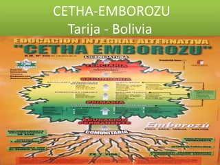 CETHA-EMBOROZU
Tarija - Bolivia
 