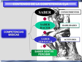 SABER
SER/ESTAR
SABER
SER/ESTAR
SABER
HACER
SABER
HACER
SABERSABER CONOCIMIENTOSCONOCIMIENTOS
ACTITUDESACTITUDES
HABILIDAD...