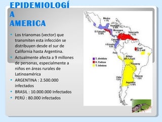 EPIDEMIOLOGÍA AMERICA Los trianomas (vector) que transmiten esta infección se distribuyen desde el sur de California hasta Argentina. Actualmente afecta a 9 millones de personas, especialmente a niños en áreas rurales de Latinoamérica  ARGENTINA : 2.500.000 infectados BRASIL : 10.000.000 Infectados PERÚ : 80.000 infectados 