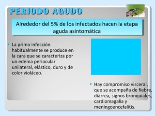 PERIODO AGUDO La primo infección habitualmente se produce en la cara que se caracteriza por un edema periocular unilateral, elástico, duro y de color violáceo. Hay compromiso visceral, que se acompaña de fiebre, diarrea, signos bronquiales, cardiomagalia y meningoencefalitis. Alrededor del 5% de los infectados hacen la etapa aguda asintomática 