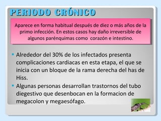 PERIODO CRÓNICO Alrededor del 30% de los infectados presenta complicaciones cardiacas en esta etapa, el que se inicia con un bloque de la rama derecha del has de Hiss. Algunas personas desarrollan trastornos del tubo diegestivo que desenbocan en la formacion de megacolon y megaesófago.  Aparece en forma habitual después de diez o más años de la primo infección. En estos casos hay daño irreversible de algunos parénquimas como  corazón e intestino. 