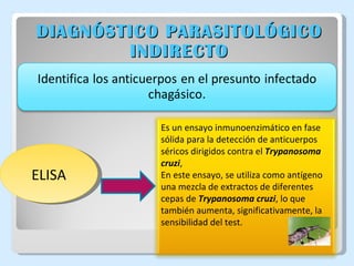 DIAGNÓSTICO PARASITOLÓGICO INDIRECTO ELISA Es un ensayo inmunoenzimático en fase sólida para la detección de anticuerpos séricos dirigidos contra el  Trypanosoma cruzi ,  En este ensayo, se utiliza como antígeno una mezcla de extractos de diferentes cepas de  Trypanosoma cruzi , lo que también aumenta, significativamente, la sensibilidad del test.  