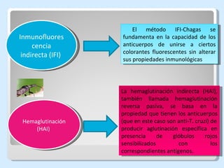 Inmunofluorescencia indirecta (IFI)  Hemaglutinación (HAI)  La hemaglutinación indirecta (HAI), también llamada hemaglutinación reversa pasiva, se basa en la propiedad que tienen los anticuerpos (que en este caso son anti-T. cruzi) de producir aglutinación específica en presencia de glóbulos rojos sensibilizados con los correspondientes antígenos. El método IFI-Chagas se fundamenta en la capacidad de los anticuerpos de unirse a ciertos colorantes fluorescentes sin alterar sus propiedades inmunológicas 