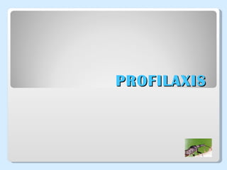 PROFILAXIS   