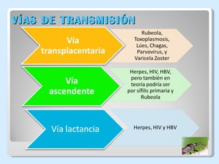 VÍAS DE TRANSMISIÓN 