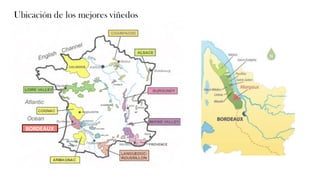 BORDEAUX
Ubicación de los mejores viñedos
 