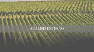 ANÁLISIS EXTERNO
 