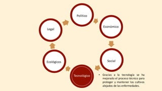 Político
Económico
Social
Tecnológico
Ecológicos
Legal
• Gracias a la tecnología se ha
mejorado el proceso técnico para
proteger y mantener los cultivos
alejados de las enfermedades.
 
