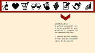 Actividades clave:
La perfecta combinación entre
el terroir, selección de uvas,
recolección y disminuir los
efectos adversos del clima
La catación de vinos llamados
”tramos” para que conozcan la
cosecha del año siguiente.
 
