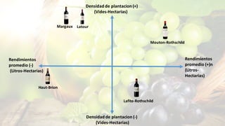 Densidad	de	plantacion (+)
(Vides-Hectarias)
Densidad	de	plantacion (-)
(Vides-Hectarias)
Rendimientos	
promedio	(+)n	
(Litros-
Hectarias)
Rendimientos	
promedio	(-)
(Litros-Hectarias)
LatourMargaux
Lafite-Rothschild
Haut-Brion
Mouton-Rothschild
 