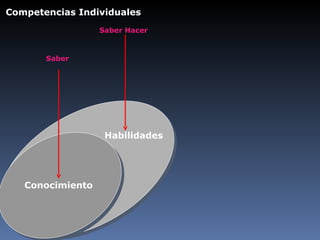 Habilidades Saber Saber Hacer Conocimiento Competencias Individuales 