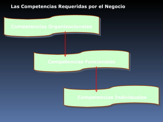Las Competencias Requeridas por el Negocio Competencias Organizacionales Competencias Individuales Competencias Funcionales 