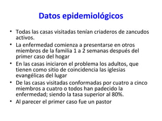 Datos epidemiológicos
• Todas las casas visitadas tenían criaderos de zancudos
activos.
• La enfermedad comienza a presentarse en otros
miembros de la familia 1 a 2 semanas después del
primer caso del hogar
• En las casas iniciaron el problema los adultos, que
tienen como sitio de coincidencia las iglesias
evangélicas del lugar
• De las casas visitadas conformadas por cuatro a cinco
miembros a cuatro o todos han padecido la
enfermedad; siendo la tasa superior al 80%.
• Al parecer el primer caso fue un pastor
 